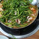 束草センテチプ - 