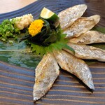 超速鮮魚寿司 羽田市場 - 