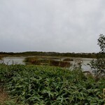 シーサイドホテル - 