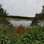 シーサイドホテル - 