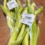 守谷SA やさい村 - 