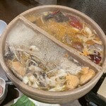 裏の山の木の子 - 食べごろの火鍋