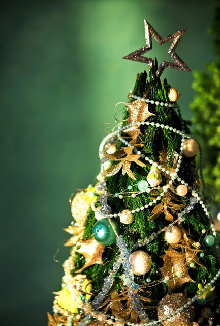 Kyo French to Teppanyaki En-EN-