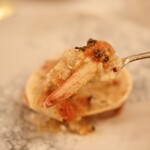 アルテリーベ - 