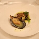 アルテリーベ - 