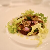 アルテリーベ - 