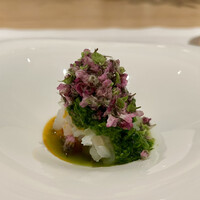 ミモザ - ヤリイカの椒麻ソース