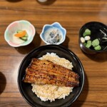 甲州 うなよし - ミニうな丼セット