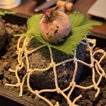 タケル クインディチ(LOQUAT) - 