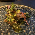 タケル クインディチ(LOQUAT) - 