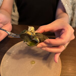 タケル クインディチ(LOQUAT) - 