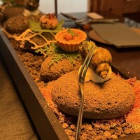 タケル クインディチ(LOQUAT) 西伊豆 - 