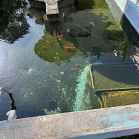 南海グリル 東店 - 