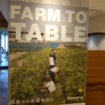 VEGGIE ISO TERRACE - 