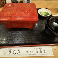 満寿家 - うな重特上