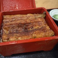 満寿家 - うな重特上