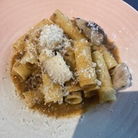 セルサルサーレ - 