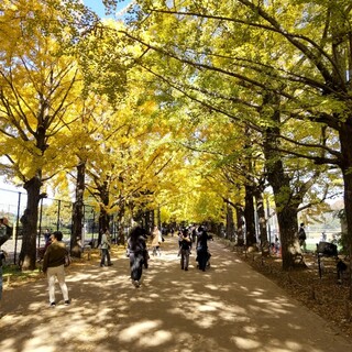 昭和記念公園 バーベキューガーデン_2