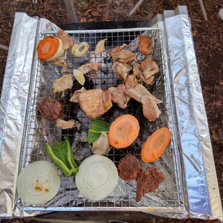 昭和記念公園 バーベキューガーデン_0