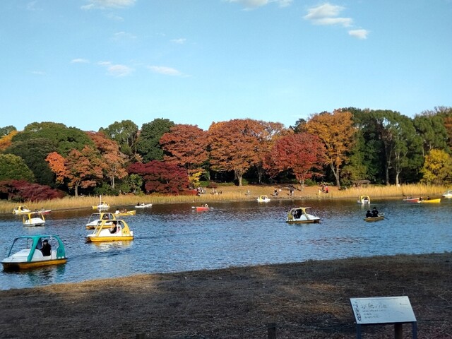 Showa Kinen Koen BBQ Garden photo 3
