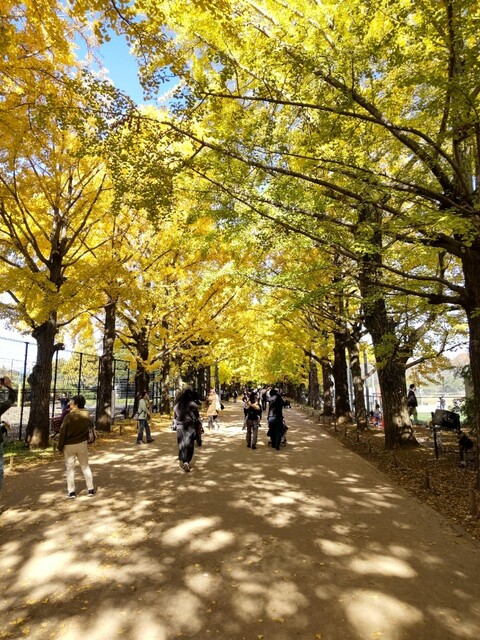 Showa Kinen Koen BBQ Garden photo 4