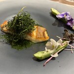 ランス・ヤナギダテ - 