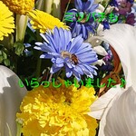 Sirocco Sagae さくら横丁店 - 