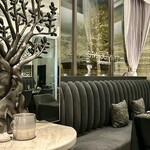 クイントカント - 