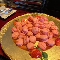 XEX TOKYO / Salvatore Cuomo Bros. - 