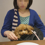 トラットリアチンクエポンテ - 熱視線