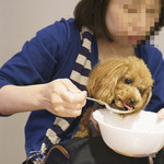 トラットリアチンクエポンテ - ワンコ等高級肉使用ハンバーグに食いつく愛犬(笑)