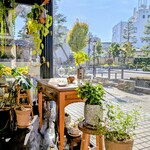 タワラ - 