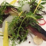 トレ・デュニオン - ランチ　〆サバ炙り、りんご、桂花陳酒のジュレ、シードルビネガーの泡