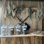 渋谷区ふれあい植物センター - 