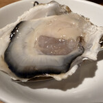 魚イタリアン&オイスター Rovin - 