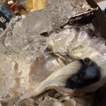 魚イタリアン&オイスター Rovin - 