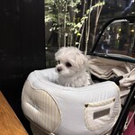 Yasai ga Oishii Restaurant LONGING HOUSE Karuizawa