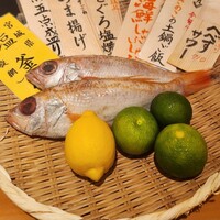 魚の中俣 銀座 - 