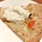 トンガリアーノ - ✨マルゲリータ・ビアンカ（左向きアップ）✨