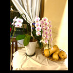 リストランテ ピノキオ - 祝い花　胡蝶蘭バイカラー　byまみこまみこ