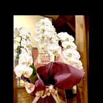 リストランテ ピノキオ - 40周年の祝い花　見事な胡蝶蘭です　お花をいただくの２回目だそうです〜　byまみこまみこ