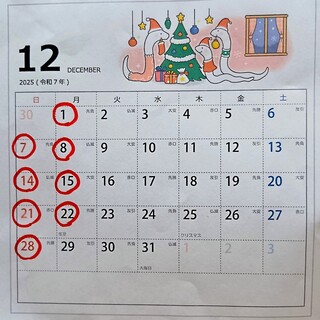 ワイン+つまみ Nomka_2