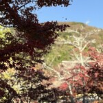 茶房 天井棧敷 - 