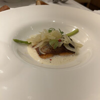 アマルフィイ・モデルナ - 