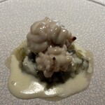 VILLA COMMUNICO - 雲子 大和太ねぎ カステルマーニョ