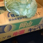 Kuukai - 岡山牛窓産キャベツ
