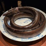 蒼 - 愛媛産1.5㎏の鱧