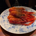 蒼 - 長井産赤座海老