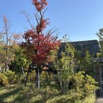 あんじぇここ 杏都 - 