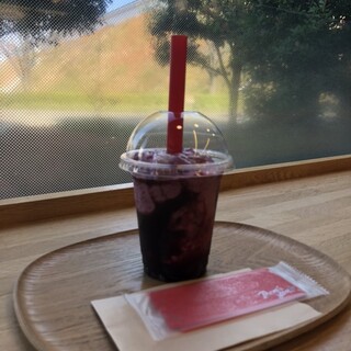 ヤクルトサービスセンター 御本丸 カフェ&ギャラリー_0